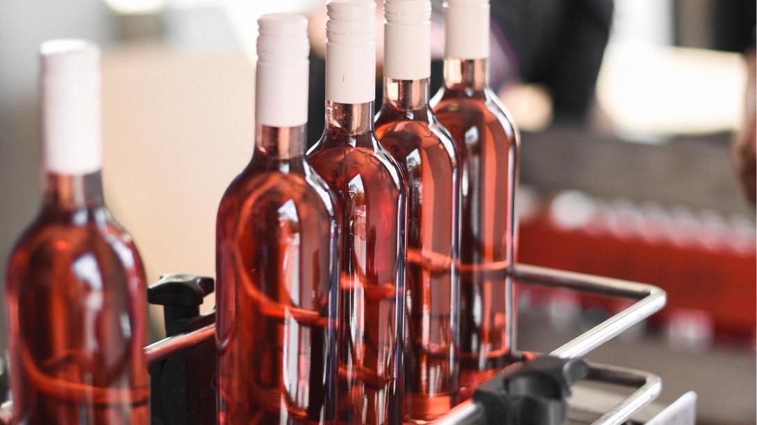 Participants watch wine getting bottled as part of their wine programme in South Africa. Wine gets produced and bottled at a wine farm in Stellenbosch, South Africa.